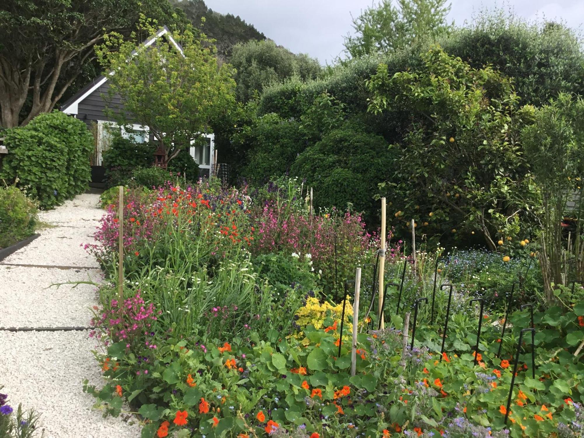 Hahei Kereru Cottage Esterno foto